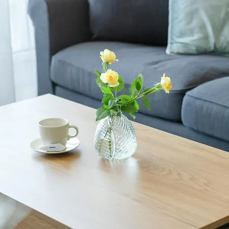 公寓 Bright Spacious With Parking Mazowiecka By Renters *
